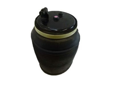 2022 Lexus GX460 Air Suspension Spring - 48080-60020