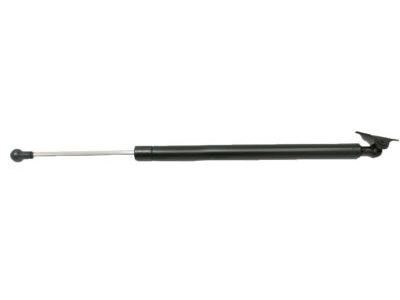 Lexus LX570 Tailgate Lift Support - 68960-69055