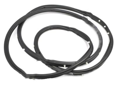 Lexus ES350 Weather Strip - 62312-33100