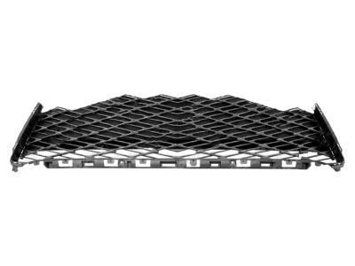 Lexus 53112-0E160 Grille, Radiator, Lower