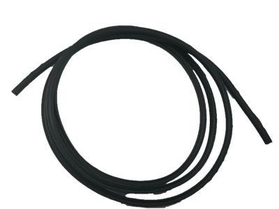 Lexus IS Turbo Weather Strip - 56117-50140