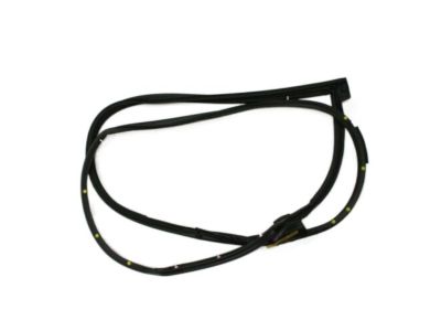 Lexus GS450h Weather Strip - 67862-30310