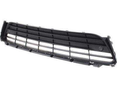 Lexus 53112-0E140 Grille, Radiator, Lower