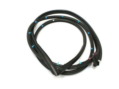 2005 Lexus GS300 Weather Strip - 67861-30251