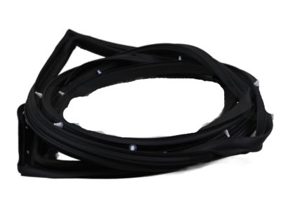 Lexus LX470 Weather Strip - 67872-60080