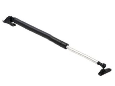 Lexus Trunk Lid Lift Support - 68960-49016