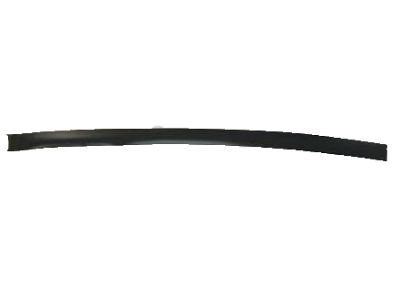 Lexus 75987-0E020 Stripe, Rear Door, Outer