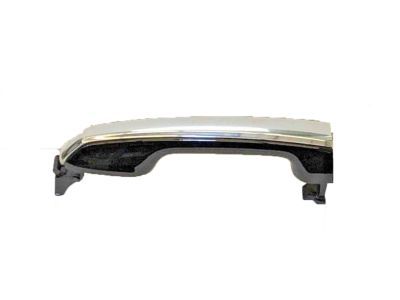 Lexus Door Handle - 69210-60170-A0