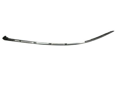 Lexus 75533-60081 MOULDING, Windshield