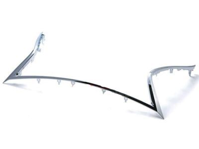 Lexus 52711-53061 Moulding, Front Bumper