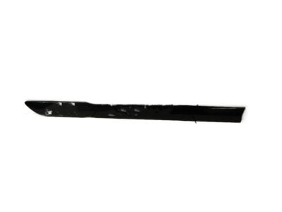 Lexus 75741-0E010-C0 Moulding, Rear Door, Outside RH