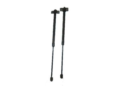 Lexus IS300 Tailgate Lift Support - 68960-80064