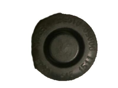 Lexus 90950-01955 Plug, Hole