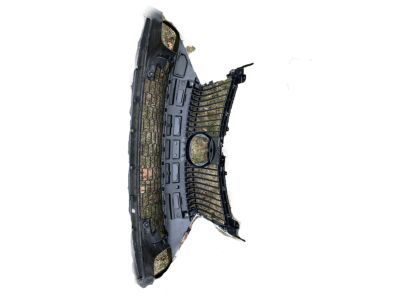 Lexus 53101-24050 Grille Sub-Assy, Radiator