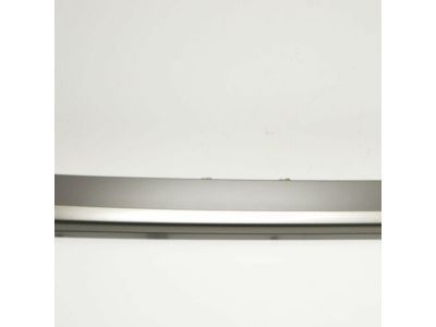 Lexus 53122-24020 Moulding, Radiator Grille