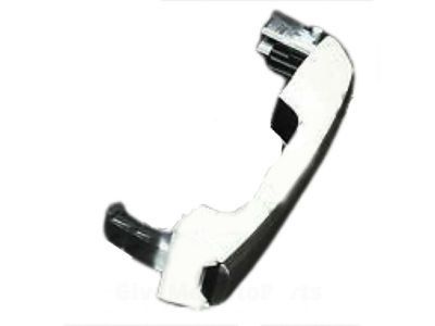 Lexus Door Handle - 69210-60160-A0