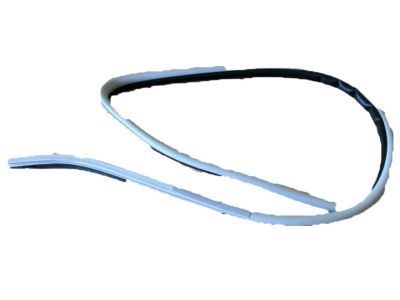 1996 Lexus LX450 Weather Strip - 62312-60020-A0