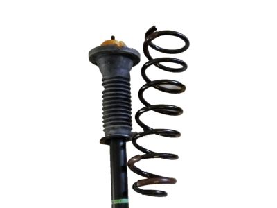 Lexus Coil Springs - 48131-50170