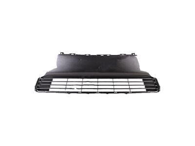 Lexus 53112-76080 Grille, Radiator, Lower