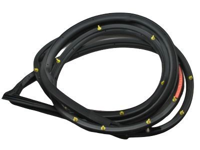 Lexus LX470 Weather Strip - 67862-60100