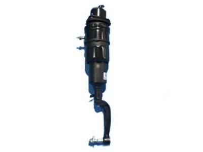 Lexus LS460 Air Suspension Spring - 48020-50341