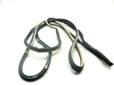 Lexus RX300 Weather Strip - 67861-48010