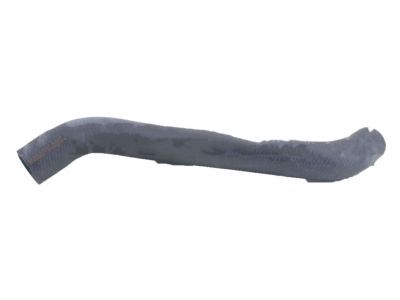 2014 Lexus LX570 Radiator Hose - 16572-38130