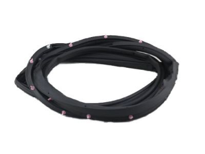 Lexus GX470 Weather Strip - 67862-60120