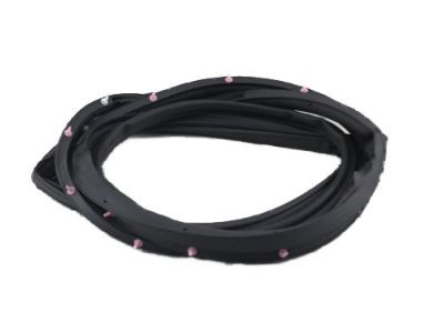 Window Weatherstrip Moulding Trim Seal For Lexus GX470 2004-2009 & Toyota Prado 120 Series