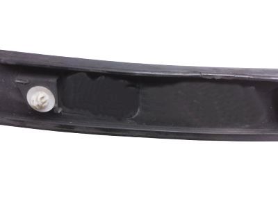 Lexus 75601-0E080 MOULDING Sub-Assembly, Front