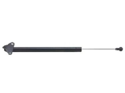 Lexus LX570 Tailgate Lift Support - 68950-69095