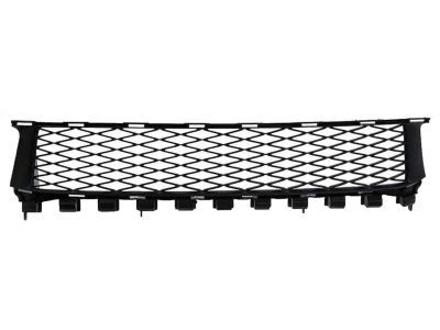 Lexus 53112-30380 Grille, Radiator, Lower