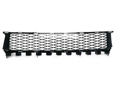 Lexus 53112-30380 Grille, Radiator, Lower