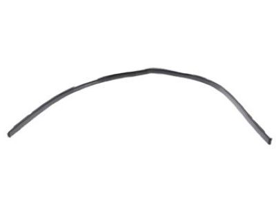 Lexus 75555-53021-C0 Moulding, Roof Drip Side Finish, Center RH