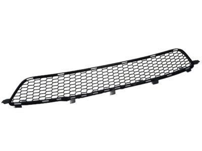 Lexus 53112-53010 Grille, Radiator, Lower NO.1