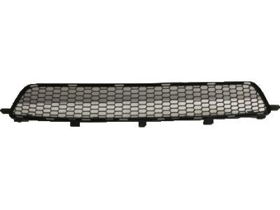 Lexus 53112-53010 Grille, Radiator, Lower NO.1