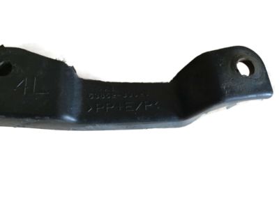 Lexus 53852-33020 Pad, Front Wheel Opening Extension, LH