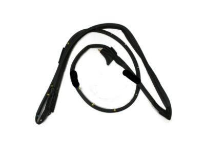 Lexus GS200t Weather Strip - 67861-30310