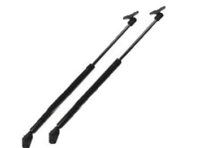 Lexus Tailgate Lift Support - 68960-0E021