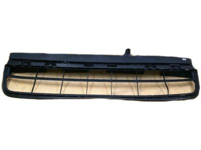 Lexus 53112-0E090 Grille, Radiator, Lower