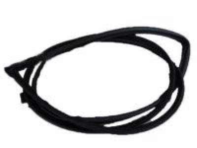 Lexus GS300 Weather Strip - 67862-30250