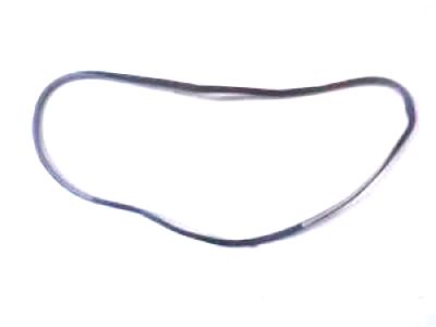 Lexus RX330 Weather Strip - 62312-0E010-A0