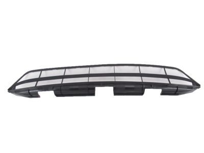 Lexus 53112-0E020 Grille, Radiator, Lower NO.1