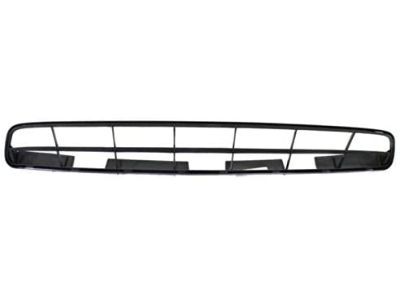 Lexus 53112-0E020 Grille, Radiator, Lower NO.1