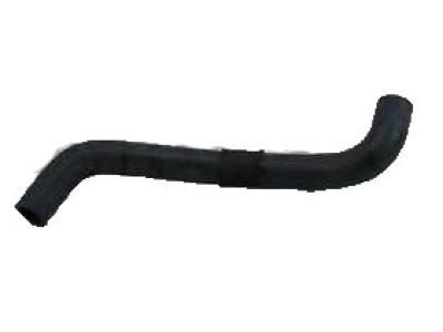 Lexus ES300 Radiator Hose - 16572-20080