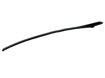 Lexus 75552-53020 Moulding, Roof Drip Side Finish, LH