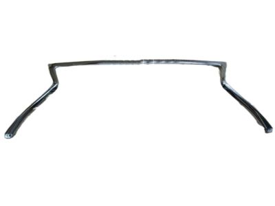 Lexus 53121-24020 Moulding, Radiator Grille