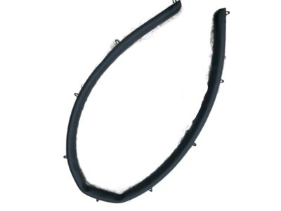 Lexus 67865-48040 WEATHERSTRIP, Front Door