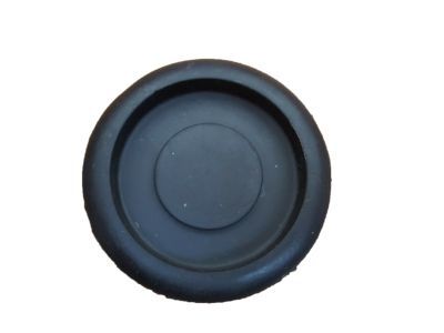 Lexus 90950-01960 Plug, Hole