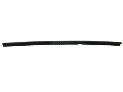 Lexus GX470 Door Seal - 68172-60050